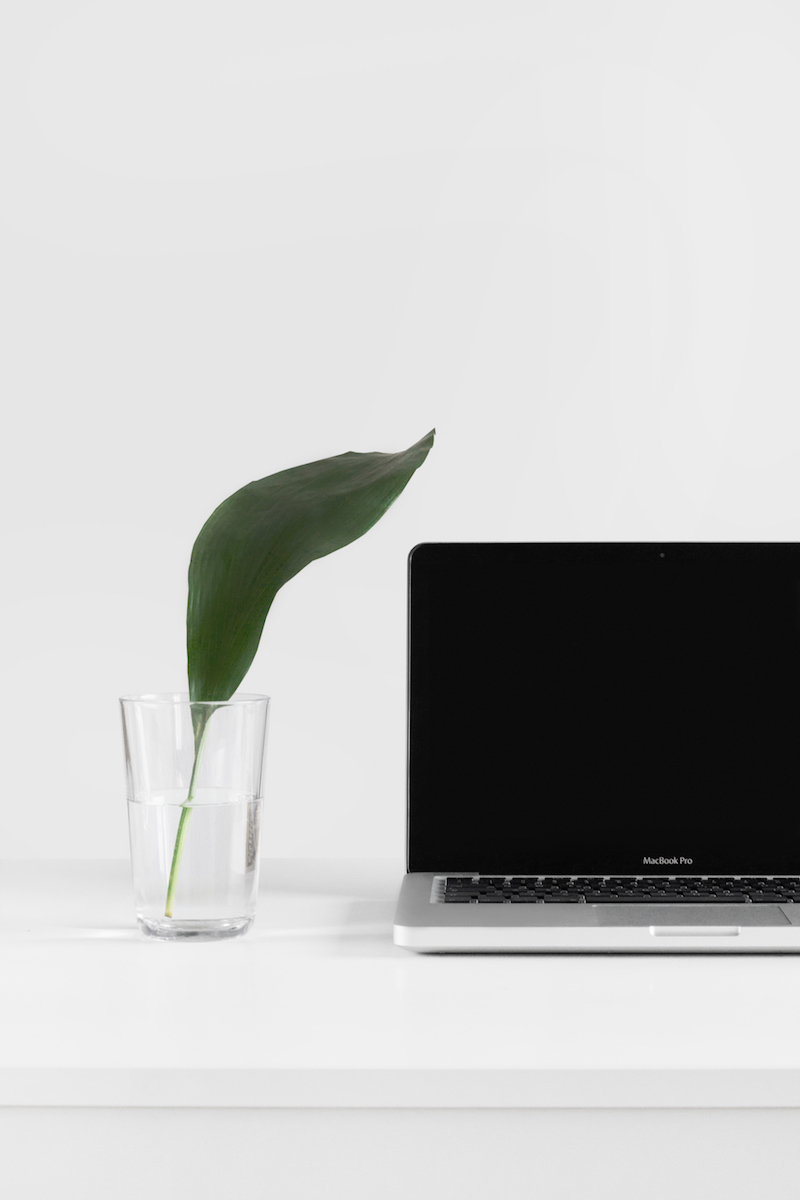 A laptop on a white surface with a glass and a single lily leaf in it.