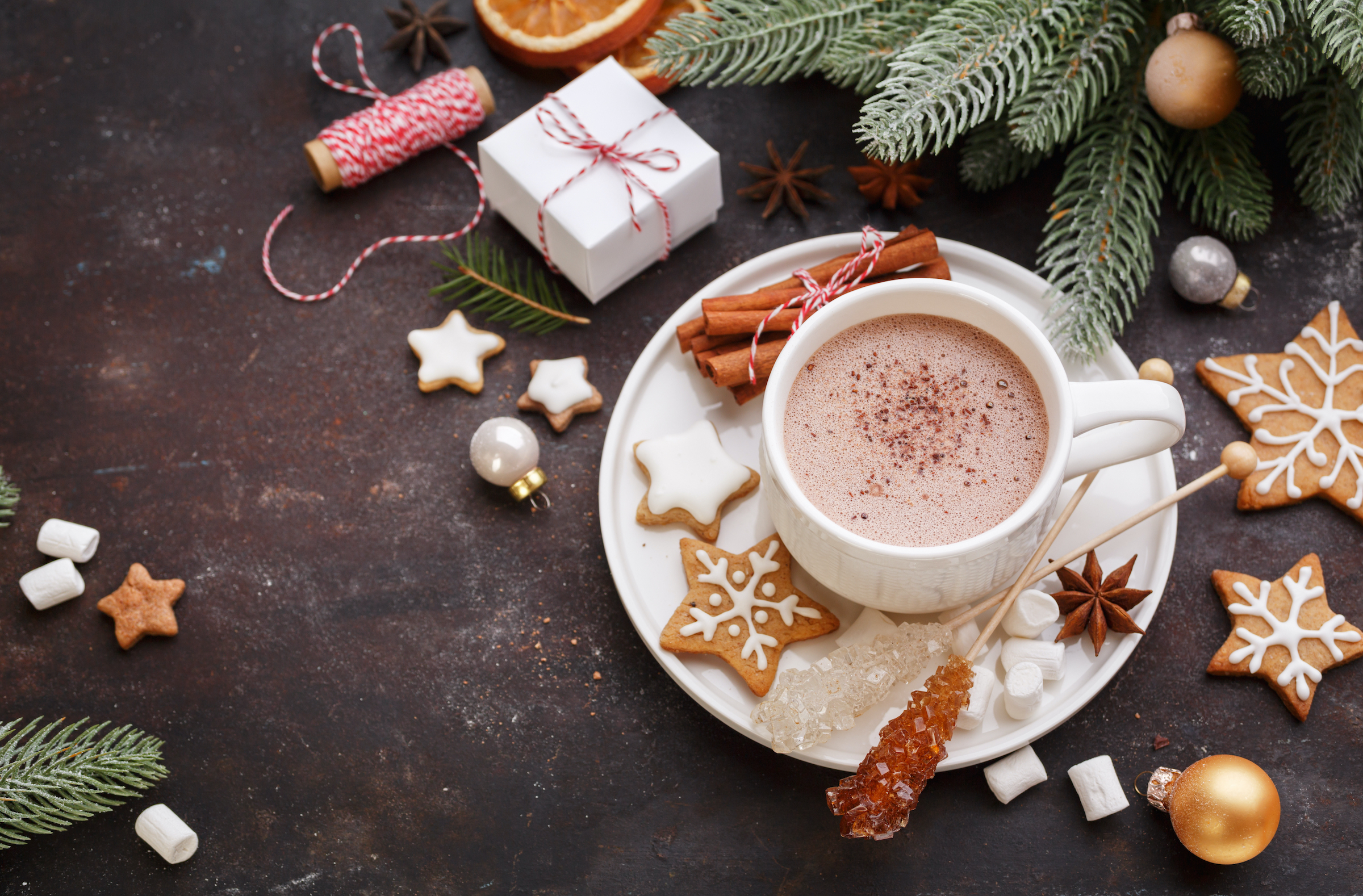 A cup of hot chocolate surrounded by Christmas decor and cookies