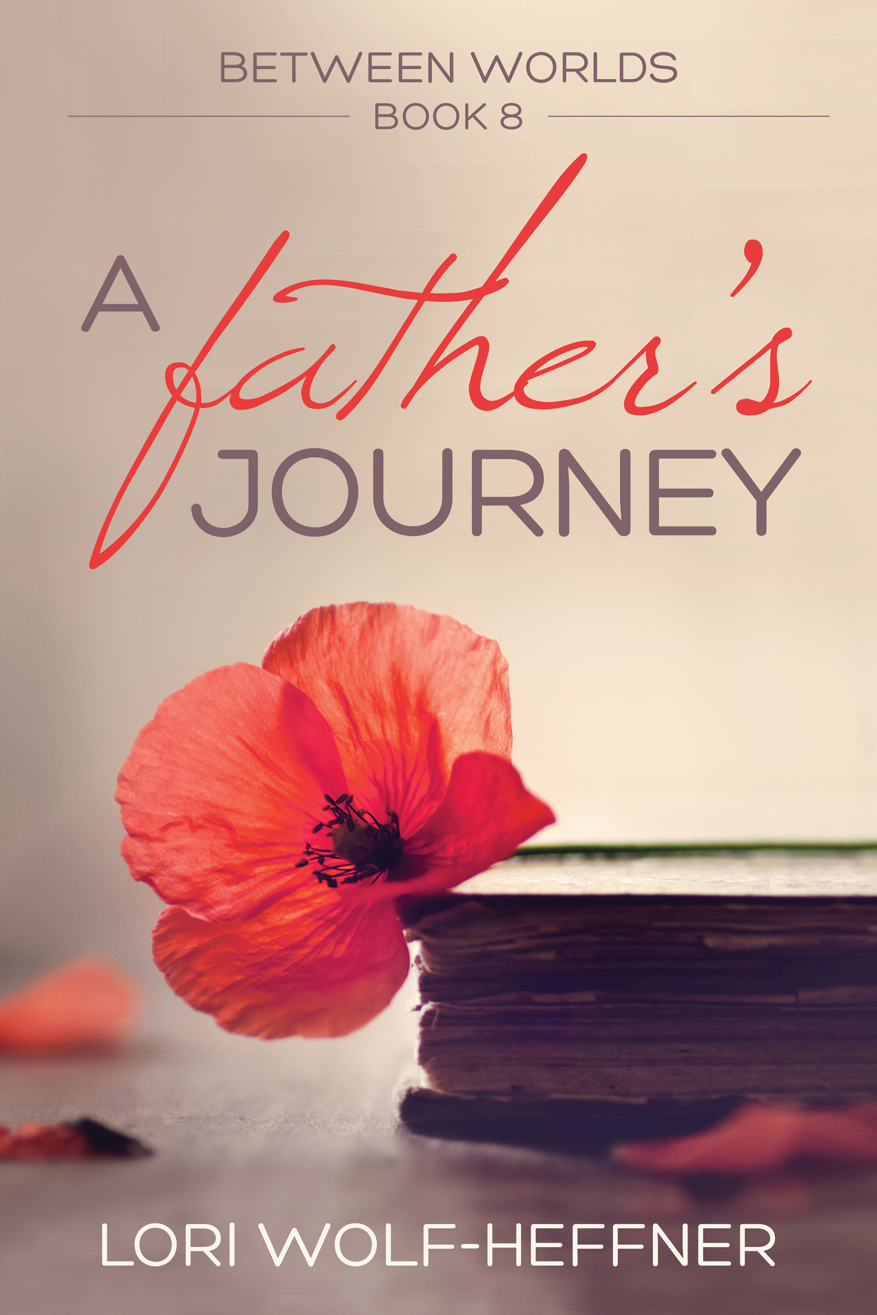 Book cover for Between Worlds 8: A Father's Journey, by Lori Wolf-Heffner